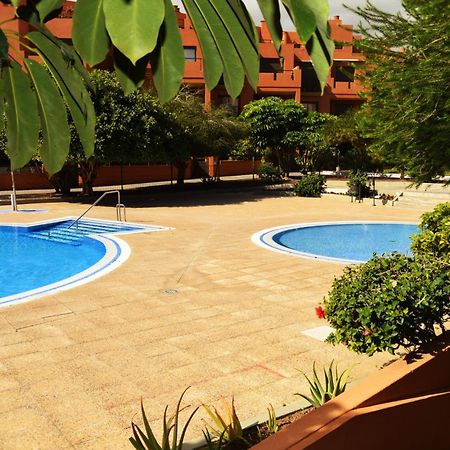 alquilaencanarias El Medano Sotavento, Pool, Great Terrace&beach Exterior foto